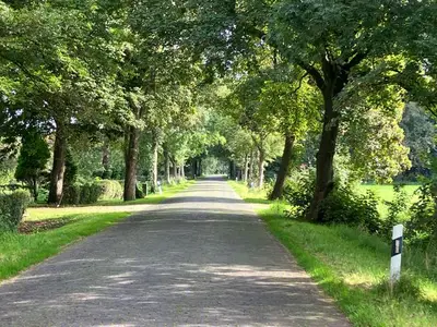 Ferienwohnung für 4 Personen (60 m²) in Ihlow 3/10