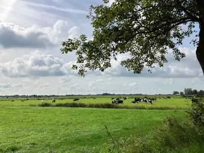 Ferienwohnung für 4 Personen (60 m²) in Ihlow 4/10