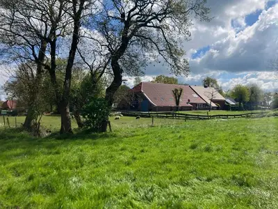 Ferienwohnung für 4 Personen (60 m²) in Ihlow 8/10