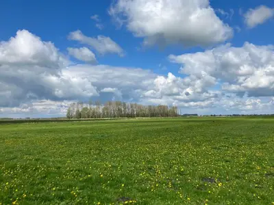 Ferienwohnung für 4 Personen (60 m²) in Ihlow 9/10