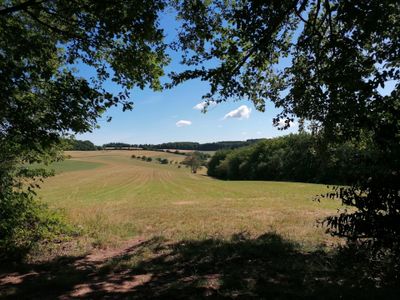 Ferienwohnung für 2 Personen (60 m²) in Illingen (Saarland) 1/10