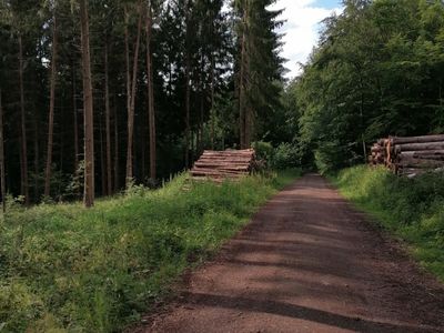 Ferienwohnung für 2 Personen (60 m²) in Illingen (Saarland) 10/10