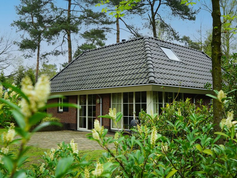 23973846-Ferienwohnung im Ferienpark-10-Beekbergen-800x600-1