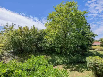 Gartenblick
