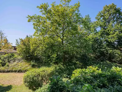 Gartenblick