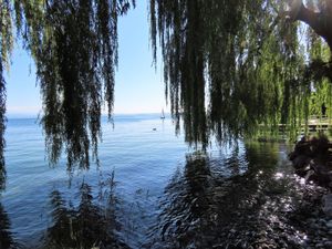 Ferienwohnung für 5 Personen (100 m&sup2;) in Immenstaad am Bodensee