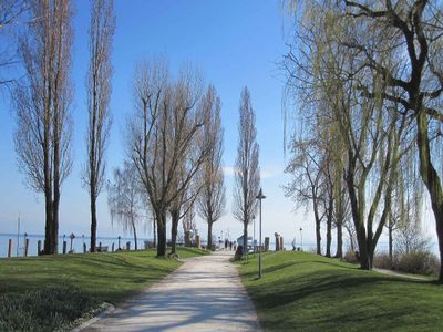 Seeufer bei Immenstaad