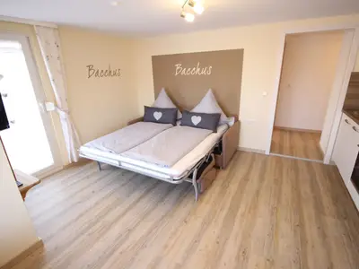 Ferienwohnung für 4 Personen (40 m²) in Immenstaad am Bodensee 3/9