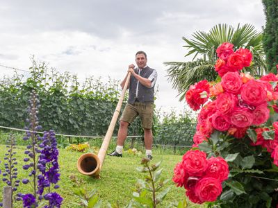 Ferienwohnung für 4 Personen (65 m²) in Immenstaad am Bodensee 8/10