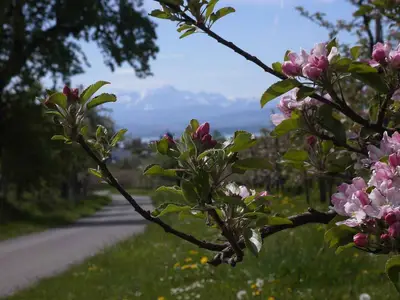 Umgebung