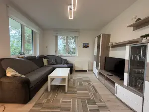 Ferienwohnung für 5 Personen (75 m²) in Immenstaad am Bodensee