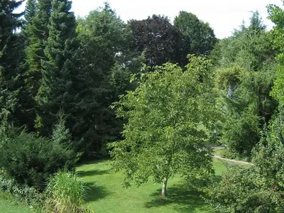 Ferienwohnung für 6 Personen (75 m²) in Immenstaad am Bodensee 7/10