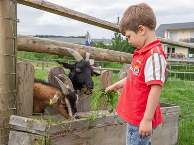Ferienwohnung für 4 Personen (65 m²) in Immenstaad am Bodensee 1/10