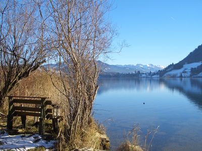Winterspaziergang am Alpsee