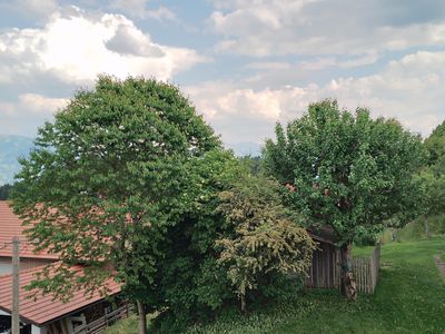 Aussicht Südbalkon Richtung Grünten