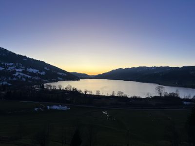 Blick auf den Alpsee von einem Panoramaspot