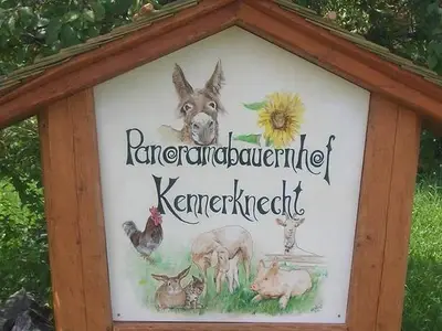 Ferienwohnung für 5 Personen (71 m²) in Immenstadt 2/10