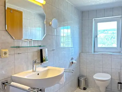 Badezimmer mit Dusche und Seeblick