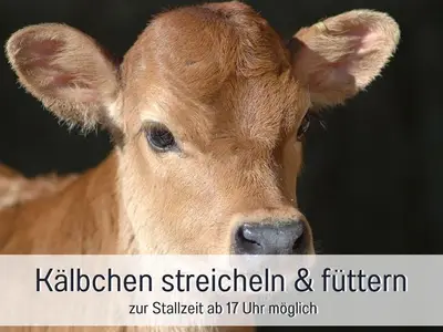 Ferienwohnung für 5 Personen (65 m²) in Stadt Immenstadt i.Allgäu 2/10