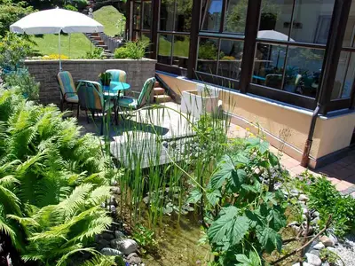 Grünes Leben in unserem Garten