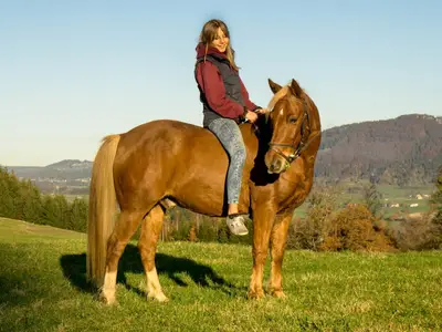 Ferienhof Endreß Ponyreiten