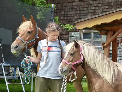 Ferienhof Endreß Goldi und Bob unsere Ponys