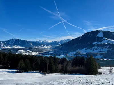 Blick auf den winterlichen Alpsee
