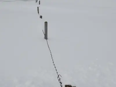 Winter1