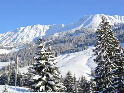Winter3