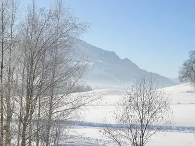 Winter5