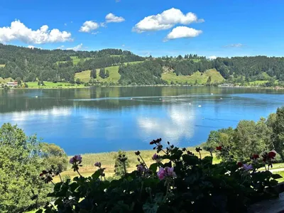 Blick vom Balkon der Hornblickwohnung