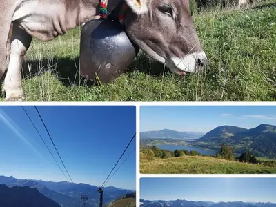 Ferienwohnung für 8 Personen (95 m²) in Immenstadt 3/10