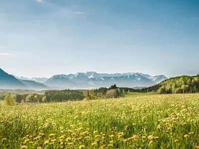 Natur pur um Haus und Hof