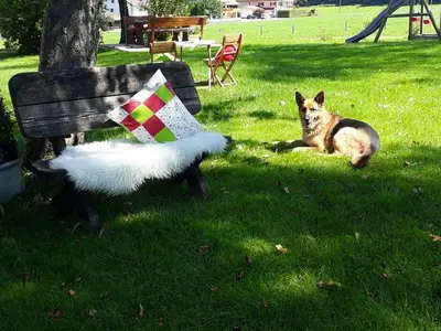 Ferienwohnung für 4 Personen (60 m²) in Immenstadt 9/10