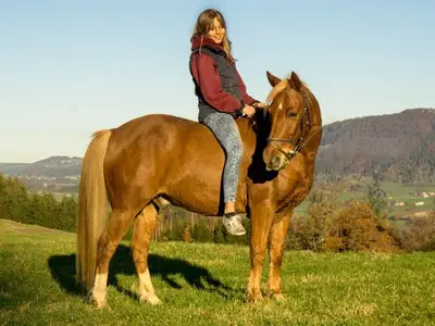 Ferienwohnung für 5 Personen (95 m²) in Stadt Immenstadt i.Allgäu 9/10