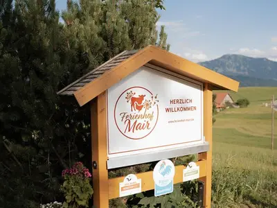 Ferienwohnung für 4 Personen (43 m²) in Immenstadt 4/10