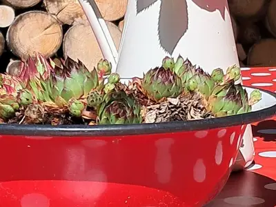 Ferienwohnung für 3 Personen (88 m²) in Immenstadt 8/10