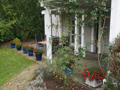 Blick auf Terrasse mit Blumen