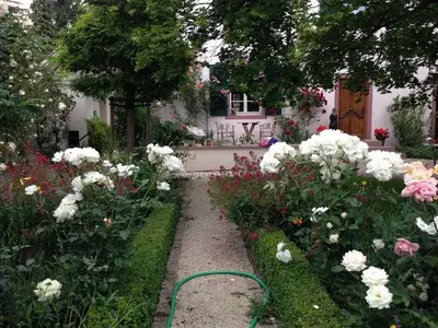 Ferienwohnung für 4 Personen (100 m²) in Ingelheim am Rhein 4/10