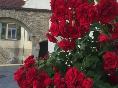 Ferienwohnung für 4 Personen (100 m²) in Ingelheim am Rhein 6/10