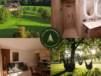 Ferienwohnung für 3 Personen (50 m²) in Innerschwand 1/10