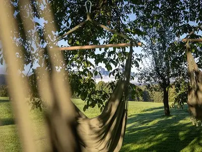 Ferienwohnung für 3 Personen (50 m²) in Innerschwand 5/10