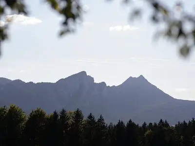 Ferienwohnung für 3 Personen (50 m²) in Innerschwand 8/10