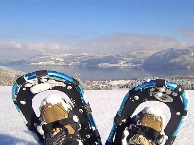 Ferienwohnung für 5 Personen (70 m²) in Innerschwand 3/10