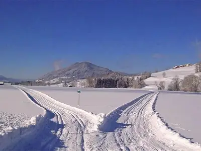 Ferienwohnung für 5 Personen (70 m²) in Innerschwand 6/10