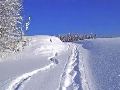 Ferienwohnung für 5 Personen (70 m²) in Innerschwand 8/10