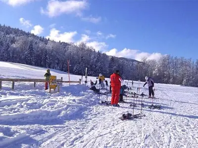 Ferienwohnung für 5 Personen (70 m²) in Innerschwand 5/10