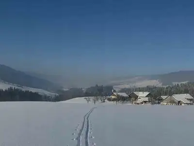 Ferienwohnung für 6 Personen (65 m²) in Innerschwand 1/10