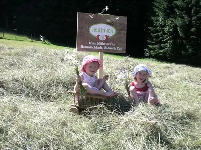 Ferienwohnung für 6 Personen (65 m²) in Innerschwand 5/10