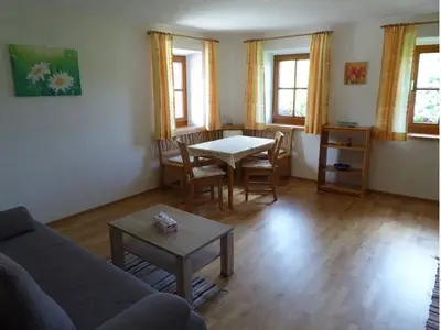 Ferienwohnung für 4 Personen (45 m²) in Innerschwand 10/10